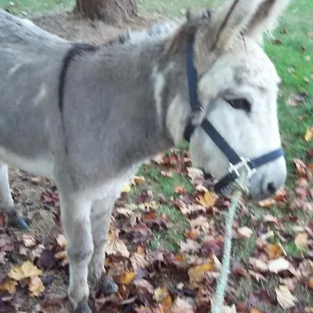 Les Hotes Du Prieure Treize-Vents