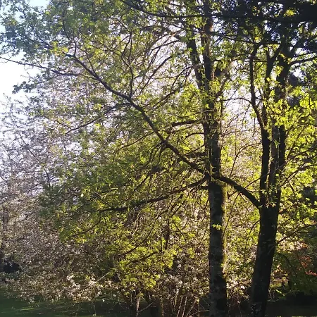 Frühstückspension Les Hotes Du Prieure Treize-Vents