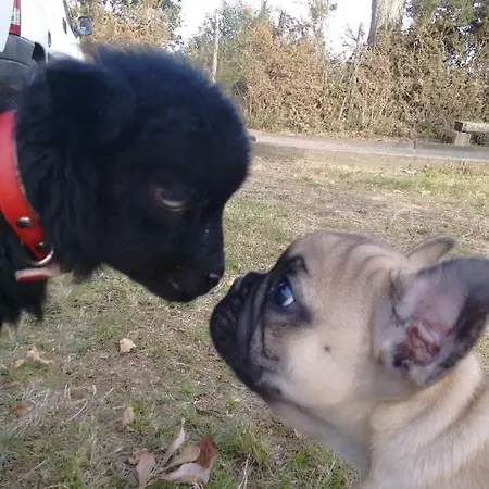 Les Hotes Du Prieure Bed & Breakfast Treize-Vents