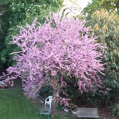 Les Hotes Du Prieure Bed & Breakfast