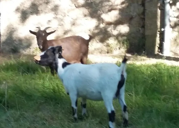 Bed & Breakfast Les Hotes Du Prieure