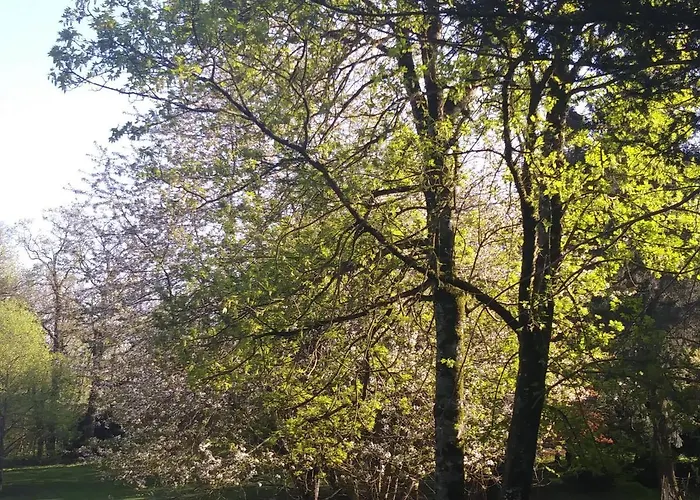 Bed & Breakfast Les Hotes Du Prieure Treize-Vents