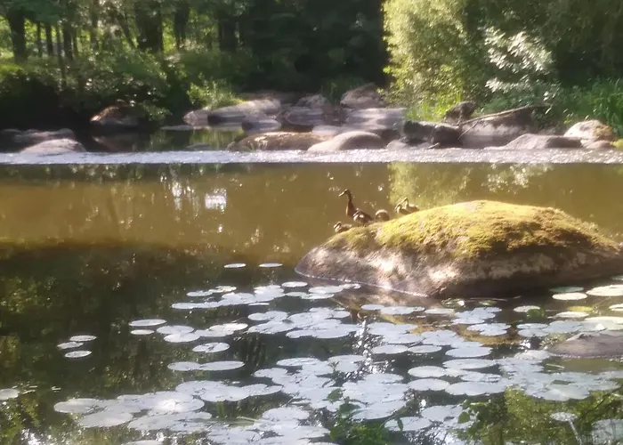 Les Hotes Du Prieure 3* Treize-Vents