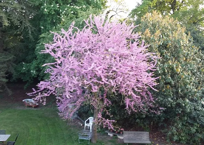 Les Hotes Du Prieure Bed & Breakfast